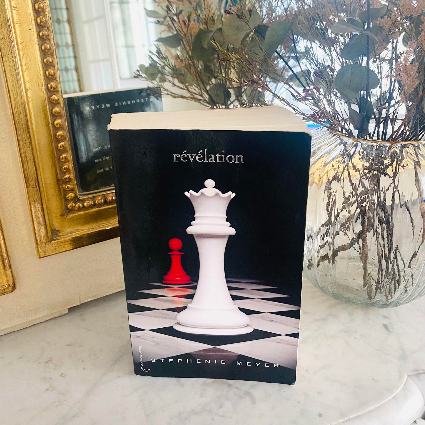 Twilight - Tome 4 - Révélation - Les Choses Particulières